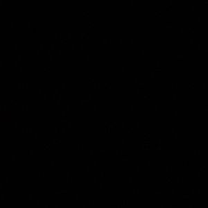 Meet your Posher, Jackson